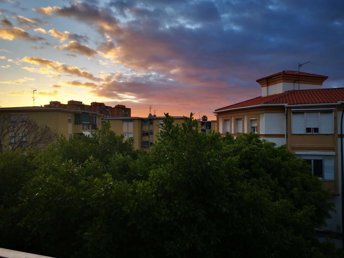 Sunnyspainholidays Apartments Málaga Eksteriør billede